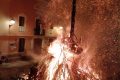 Festa de Sant Antoni 2020 - 2