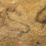 Imagen de la Muestra del arte levantino Condoig